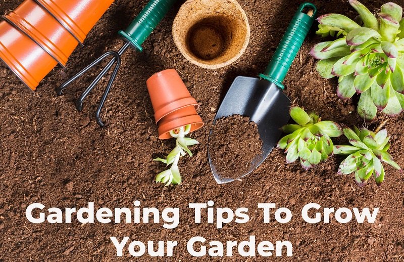 Gardening Tips To Grow Your Garden