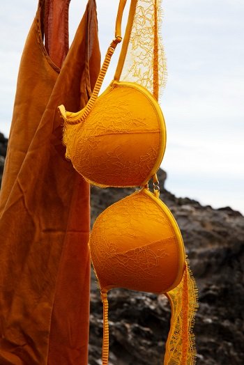 Estimating Biggest Cup Size