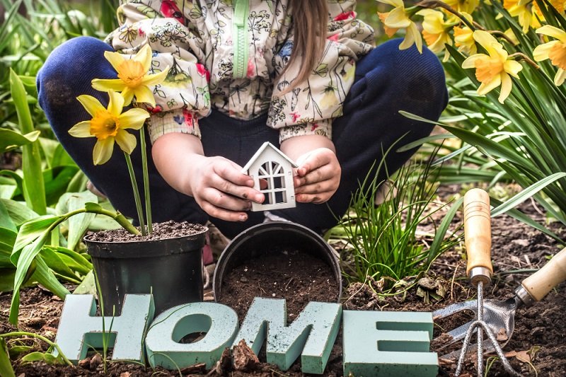 Effective Gardening Tips for Summer