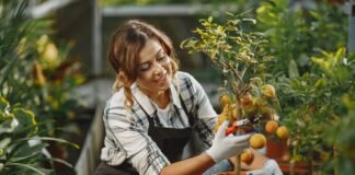 Gardening Tips To Grow Your Garden