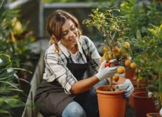 Gardening Tips To Grow Your Garden