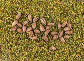 Bermuda grass seeds in lawn