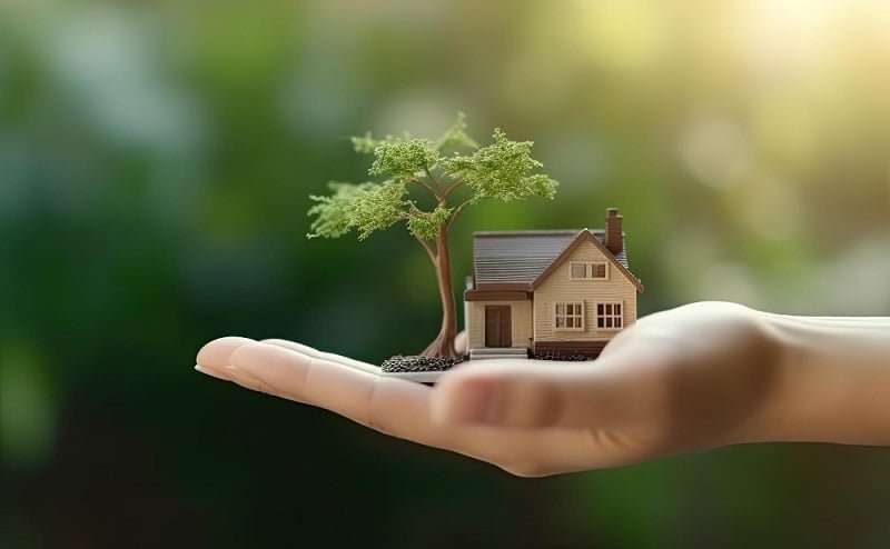 building a dream home