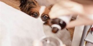 CBD Oil Solve Problem