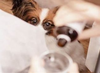 CBD Oil Solve Problem