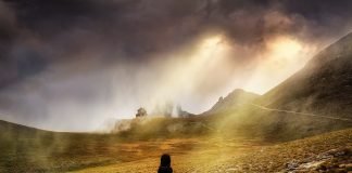 Outdoor Survival Tips