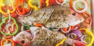 stardew valley red snapper